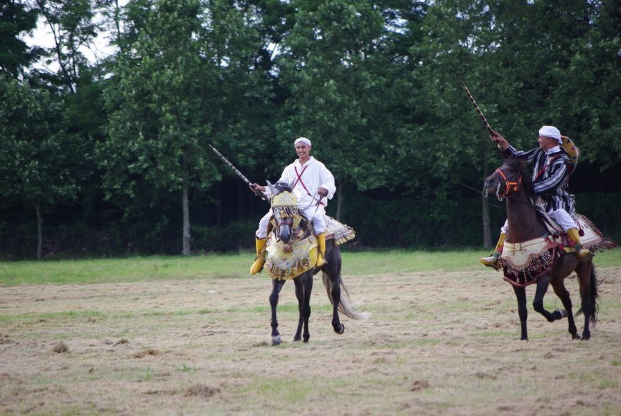 Le Moussem des Cultures 2008 199.jpg